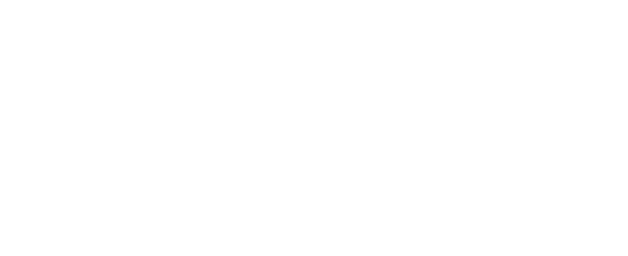 Strong Start to Finish logo